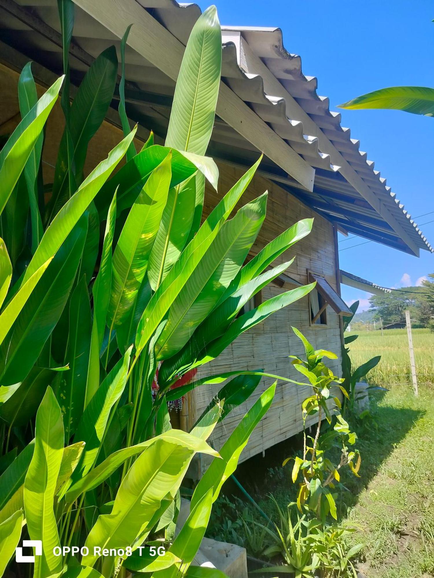 Tulip Resort Pai Cameră foto