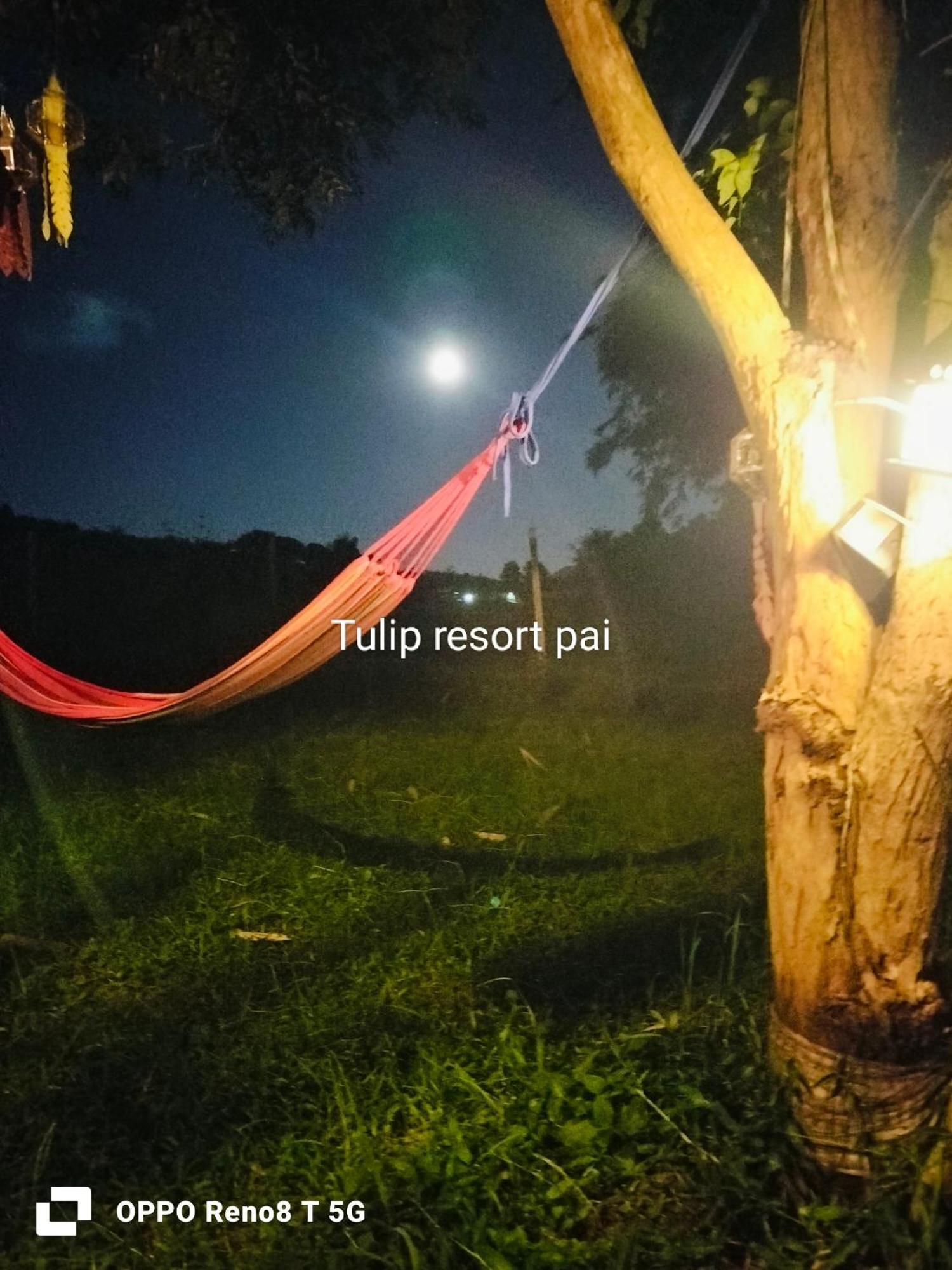 Tulip Resort Pai Cameră foto
